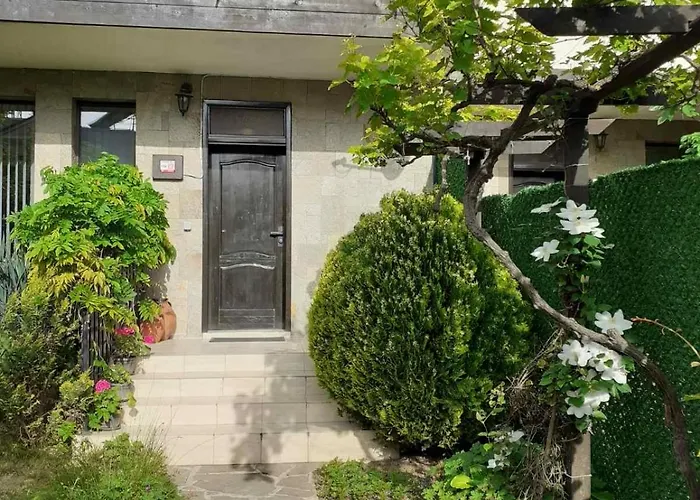 Dimi 辛尼莫雷特