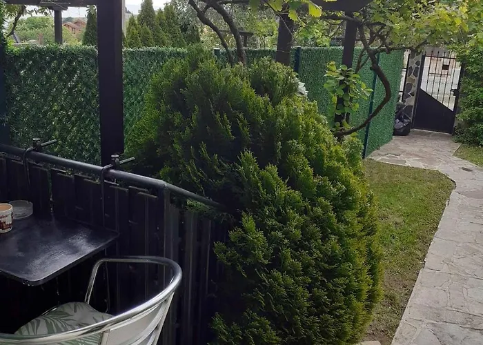 Dimi * 辛尼莫雷特