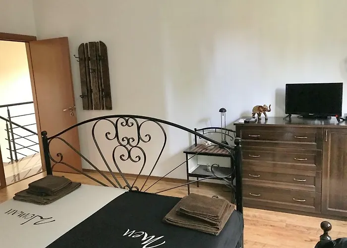 Dimi 辛尼莫雷特