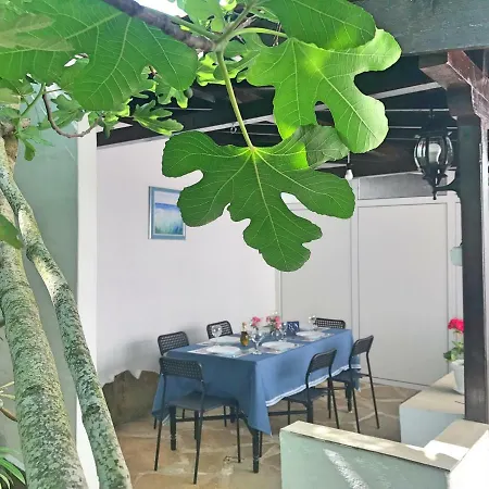 Holiday home Dimi Sinemoretz