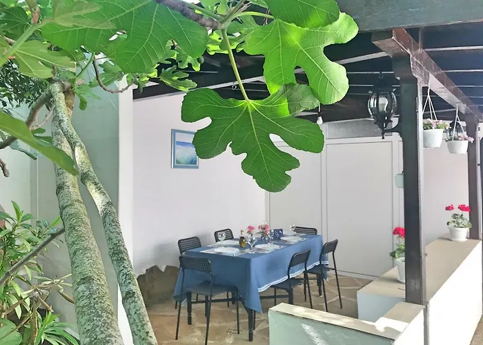 Hébergement de vacances Dimi Sinemoretz